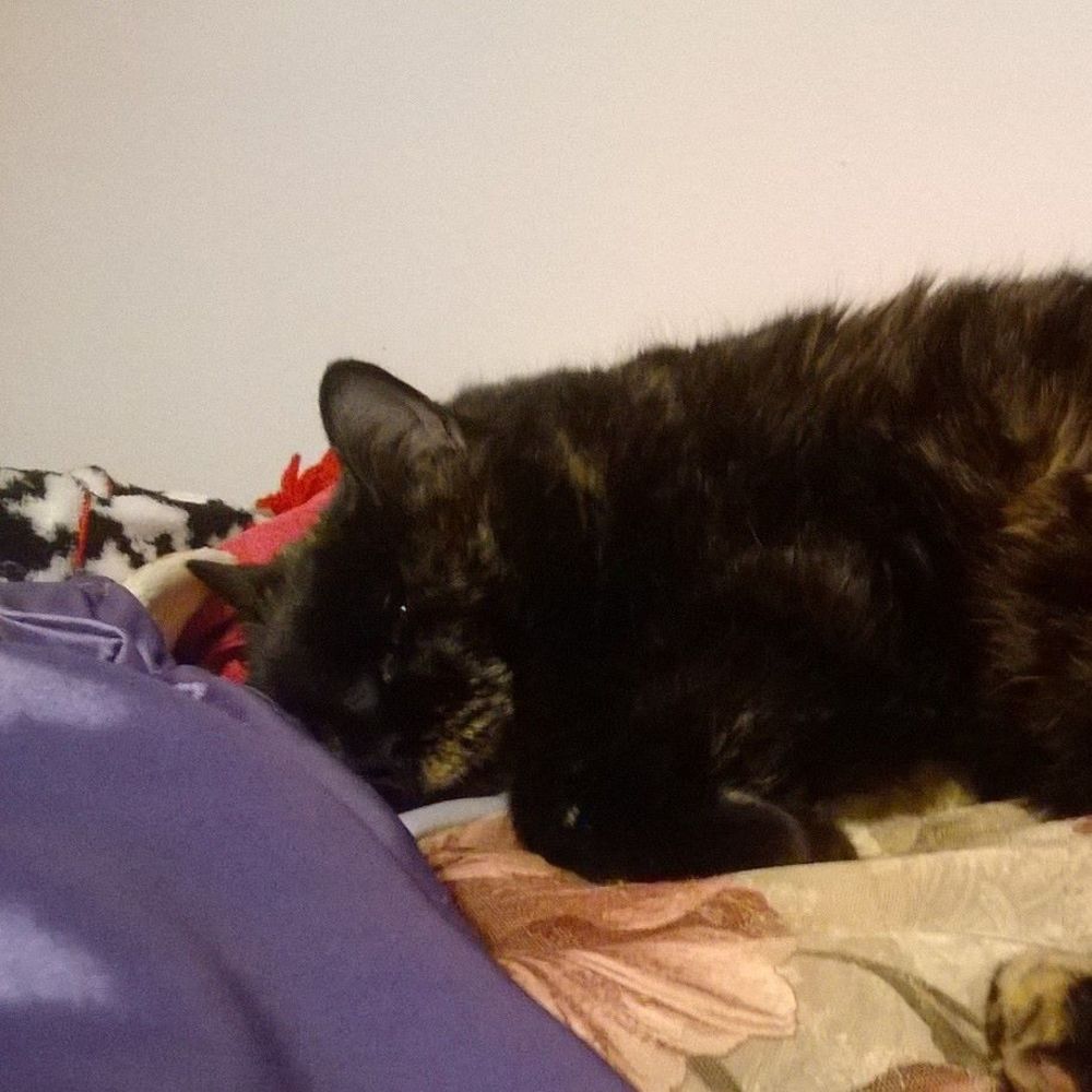 Meet your Posher, Alyssa